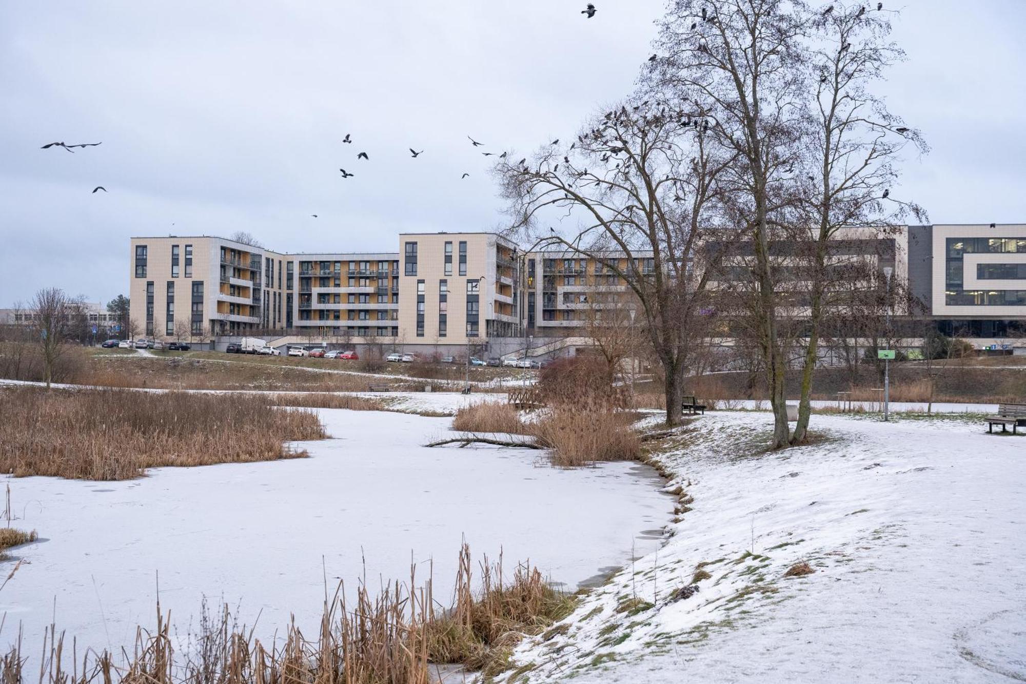 Hygge Oasis For Family With Free Parking And Wi Fi Apartment Vilnius